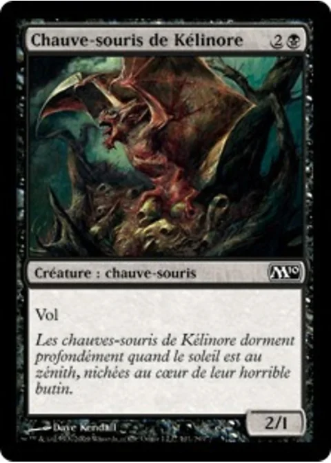 Chauve-souris de Kélinore
