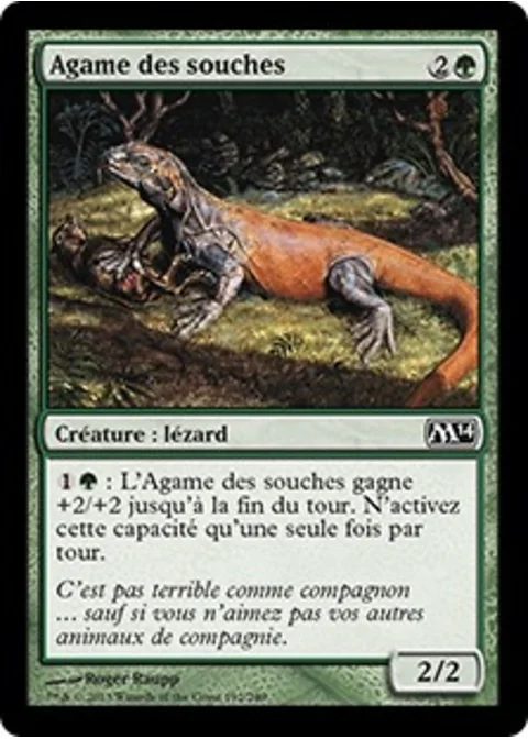Agame des souches