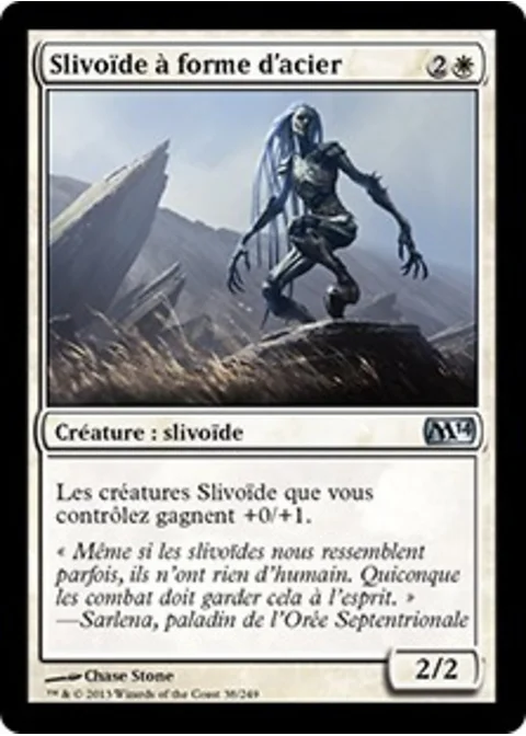 Slivoïde à forme d'acier