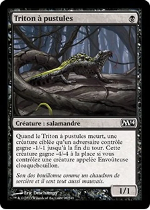 Triton à pustules