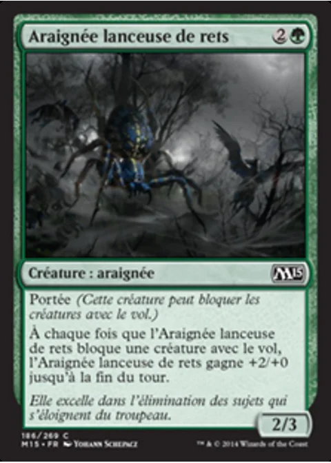 Araignée lanceuse de rets