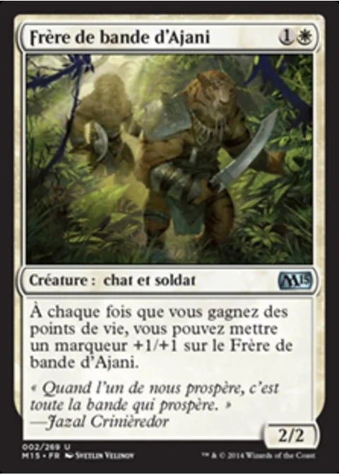 Frère de bande d'Ajani