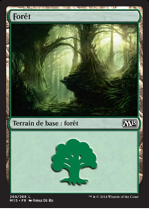 Forêt