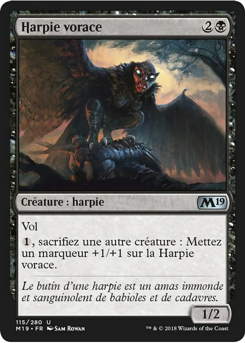 Harpie vorace