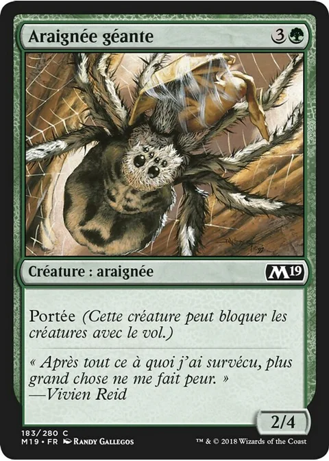 Araignée géante