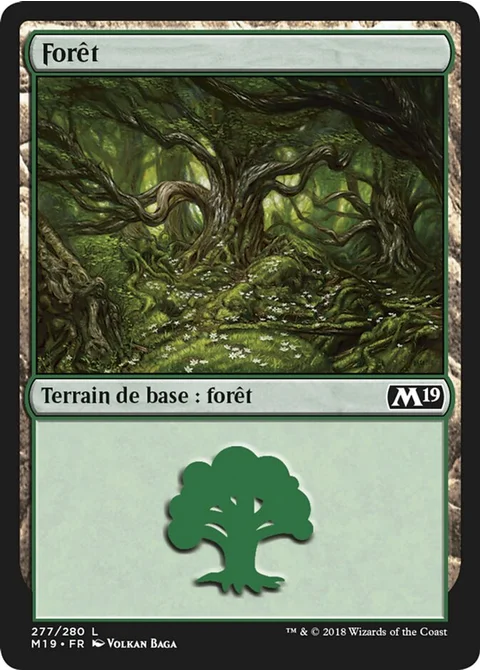 Forêt