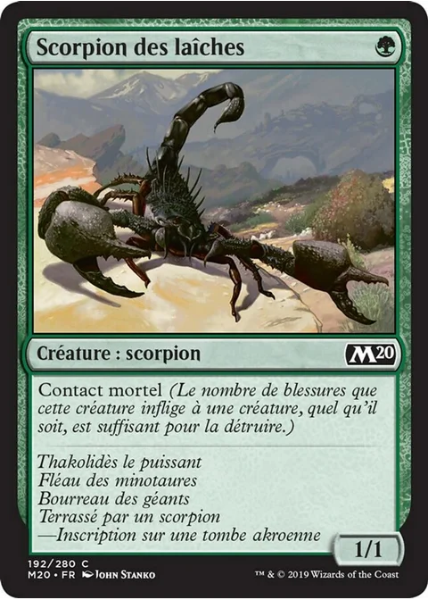 Scorpion des laîches