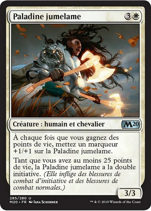 Paladine jumelame