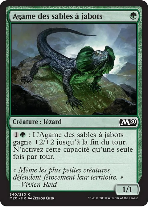 Agame des sables à jabots