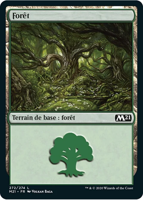 Forêt