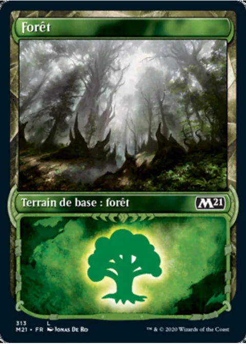 Forêt