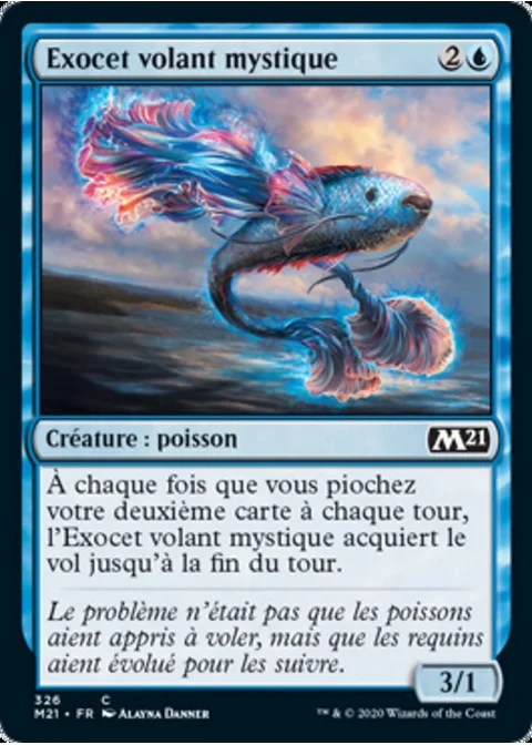 Exocet volant mystique