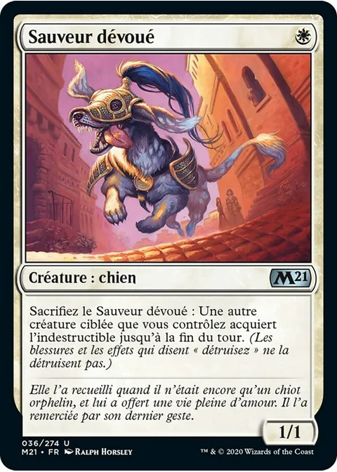 Sauveur dévoué