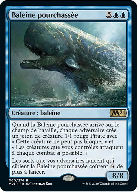 Baleine pourchassée