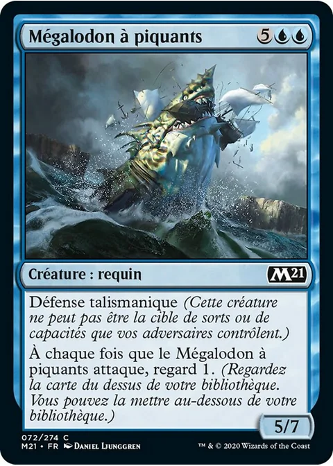 Mégalodon à piquants