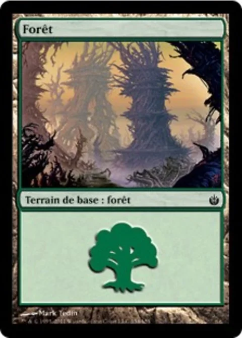 Forêt