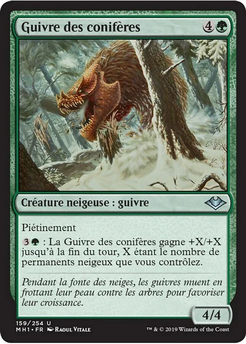 Guivre des conifères