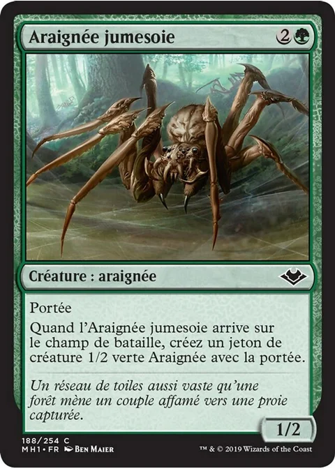 Araignée jumesoie