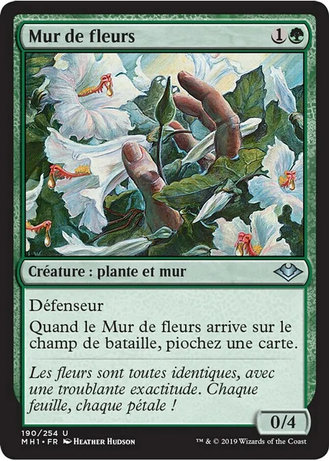 Mur de fleurs