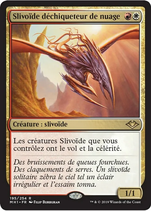 Slivoïde déchiqueteur de nuage