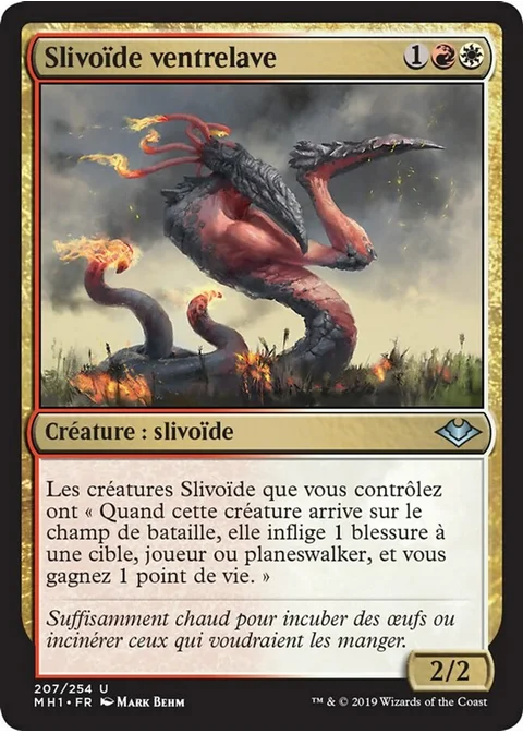 Slivoïde ventrelave