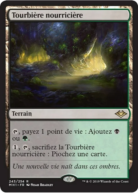 Tourbière nourricière