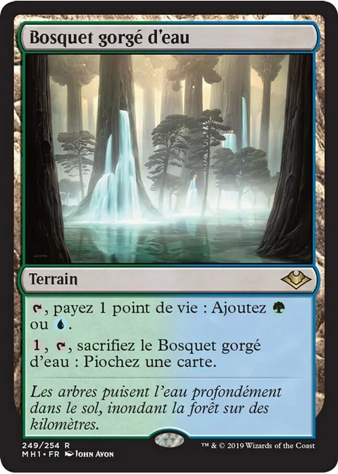 Bosquet gorgé d'eau