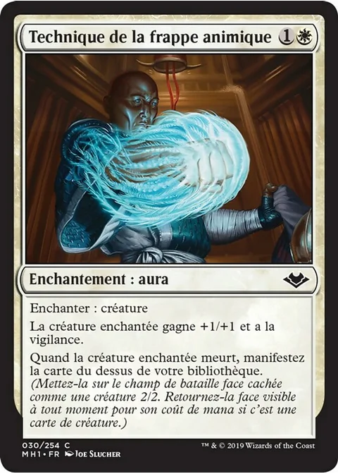 Technique de la frappe animique