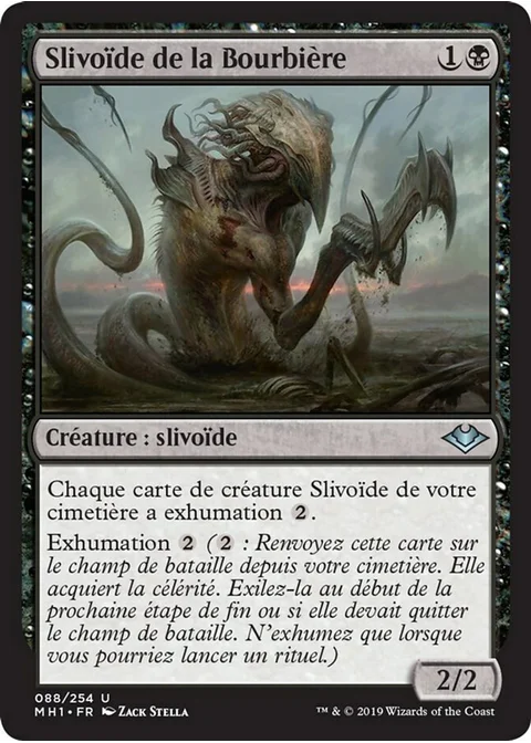 Slivoïde de la Bourbière