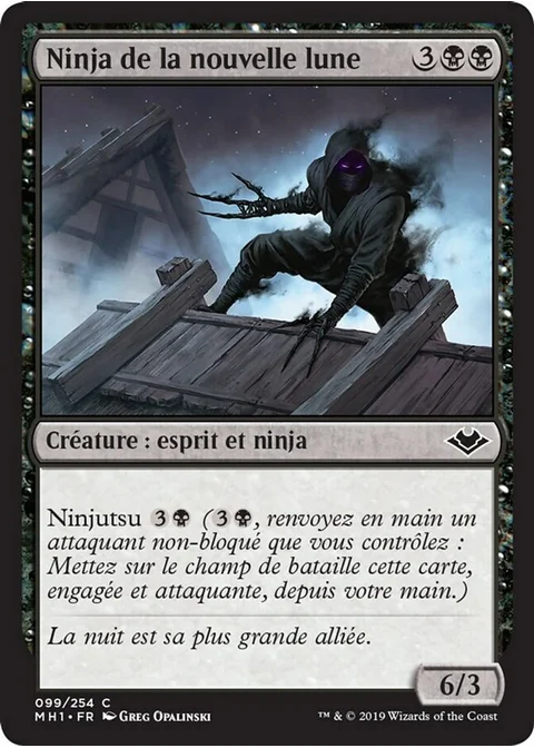 Ninja de la nouvelle lune