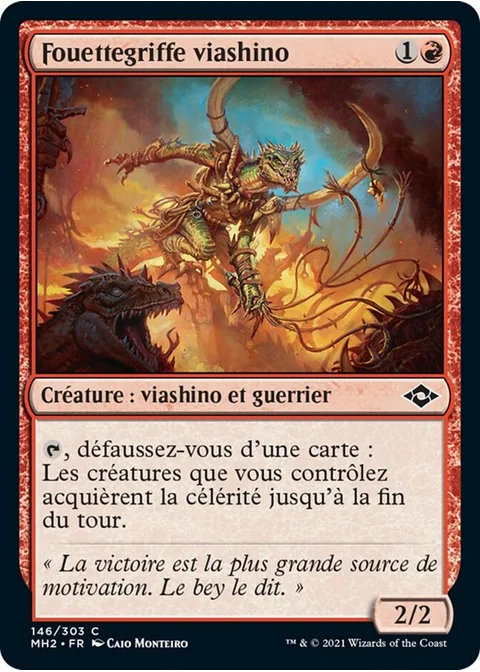 Fouettegriffe viashino