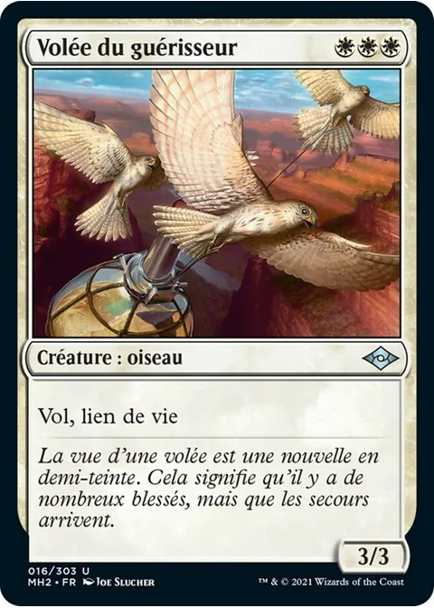 Volée du guérisseur