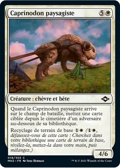 Caprinodon paysagiste