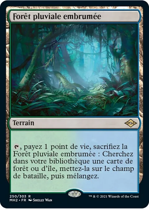 Forêt pluviale embrumée