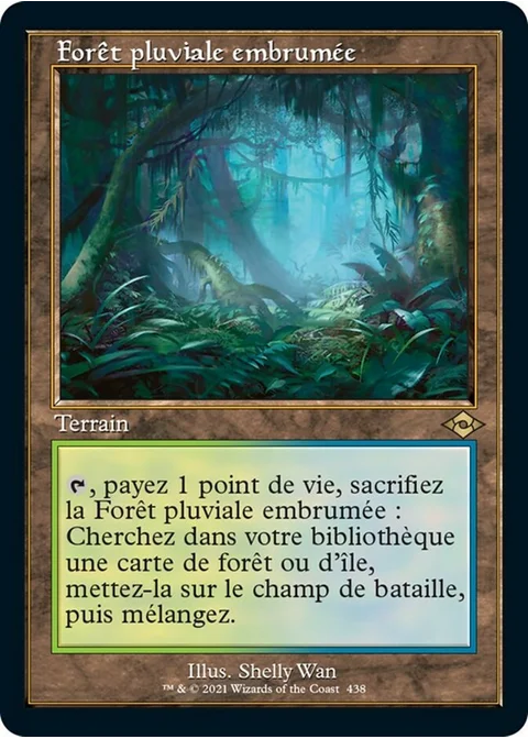 Forêt pluviale embrumée