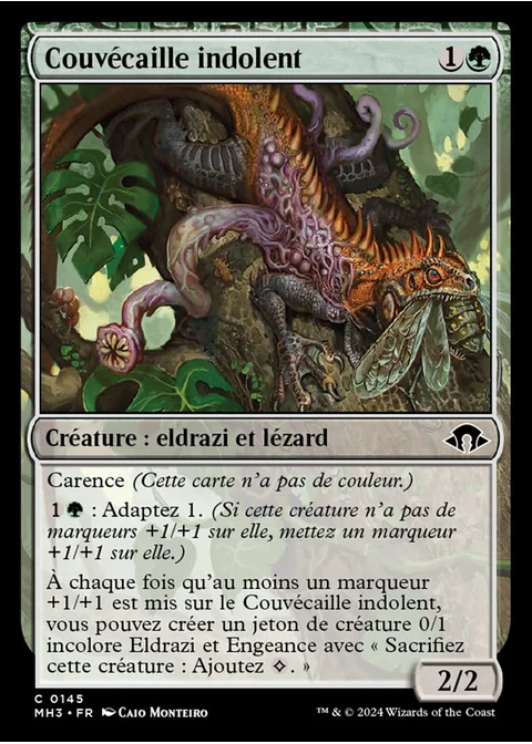 Couvécaille indolent