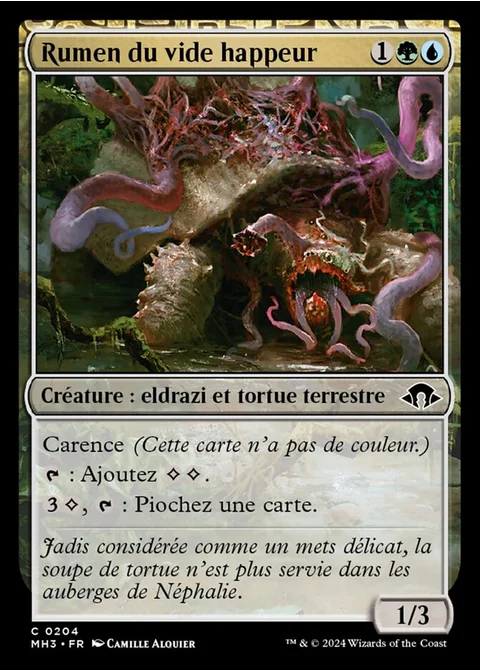 Rumen du vide happeur