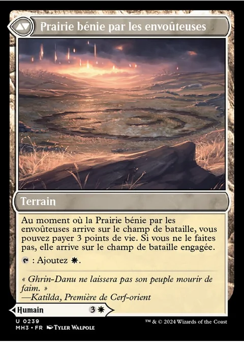 Prairie bénie par les envoûteuses