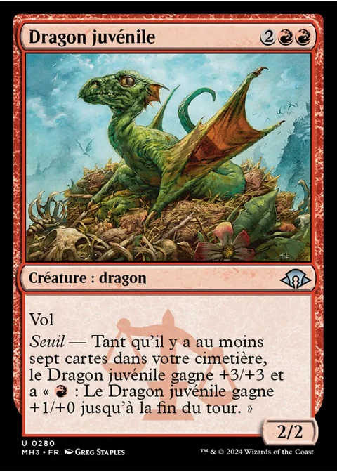 Dragon juvénile