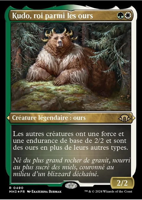 Kudo, roi parmi les ours
