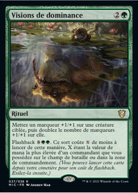 Visions de dominance