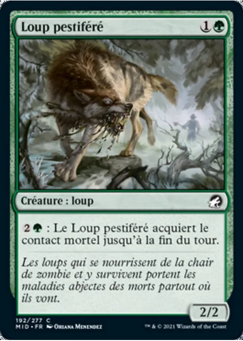 Loup pestiféré