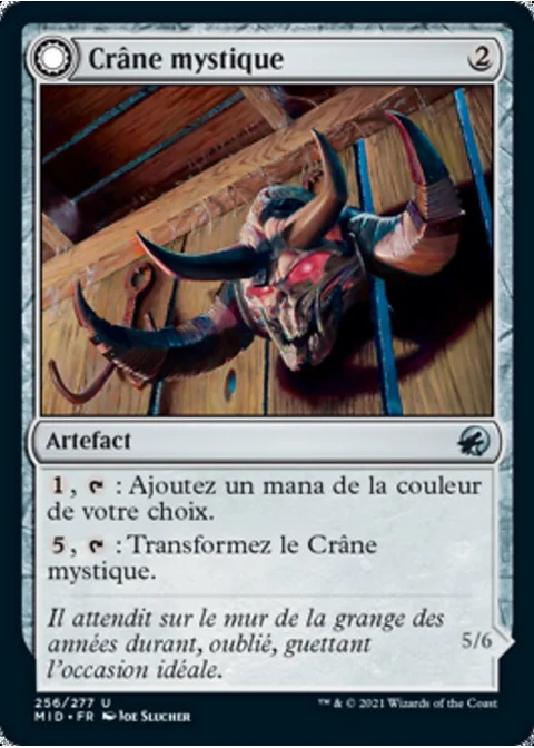 Crâne mystique