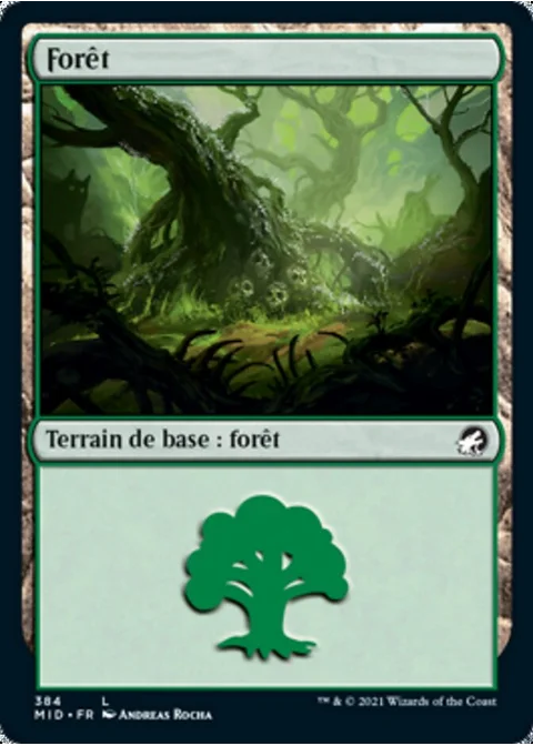 Forêt