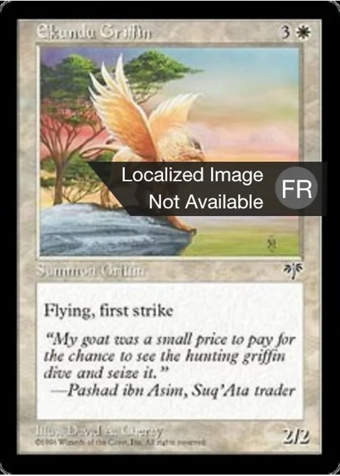 Griffon de l'Ekoundou