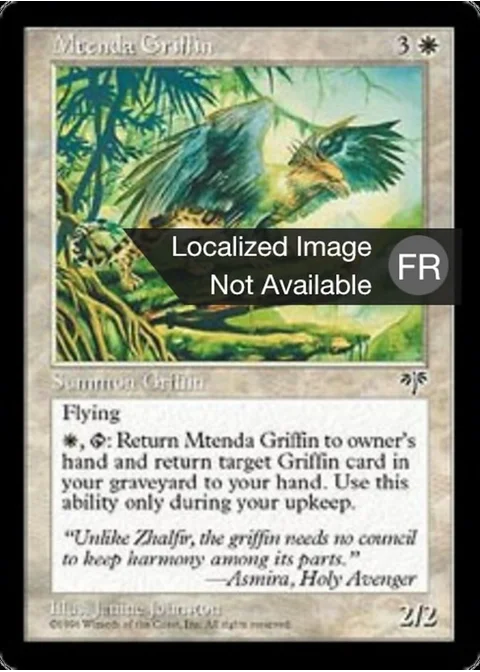 Griffon de la Mtenda