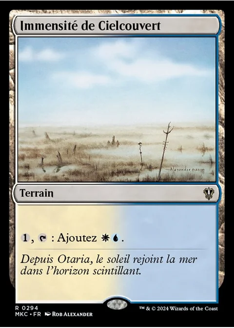 Immensité de Cielcouvert