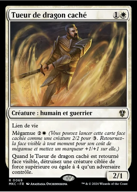 Tueur de dragon caché