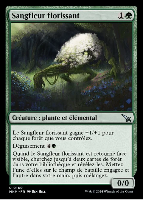 Sangfleur florissant