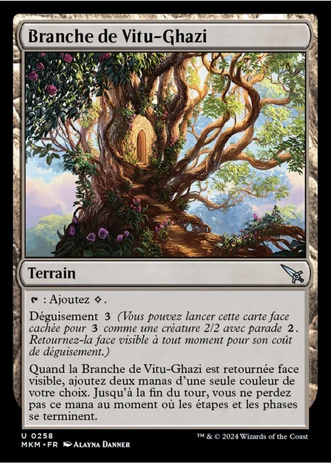 Branche de Vitu-Ghazi